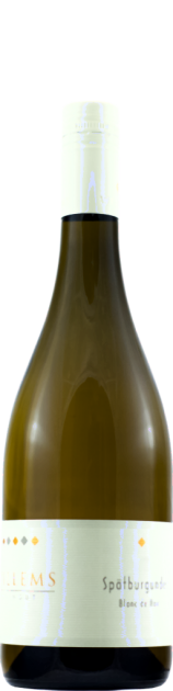 2021 Weingut Willems - Blanc de Noir -  Spätburgunder - 0,75 L