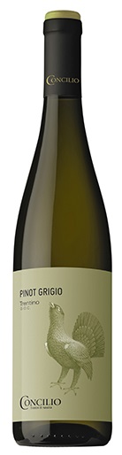 2019 Concilio - Pinot Grigio - DOP -0,75 L