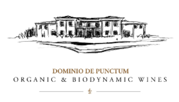 2020 Dominio de Punctum - Pablo Claro - Tempranillo VT Castilla - BIO - VEGAN - 0,75 L