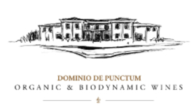 2019 Dominio de Punctum - Pablo Claro - Chardonnay VT Castilla - VEGAN - BIO - 0,75 L
